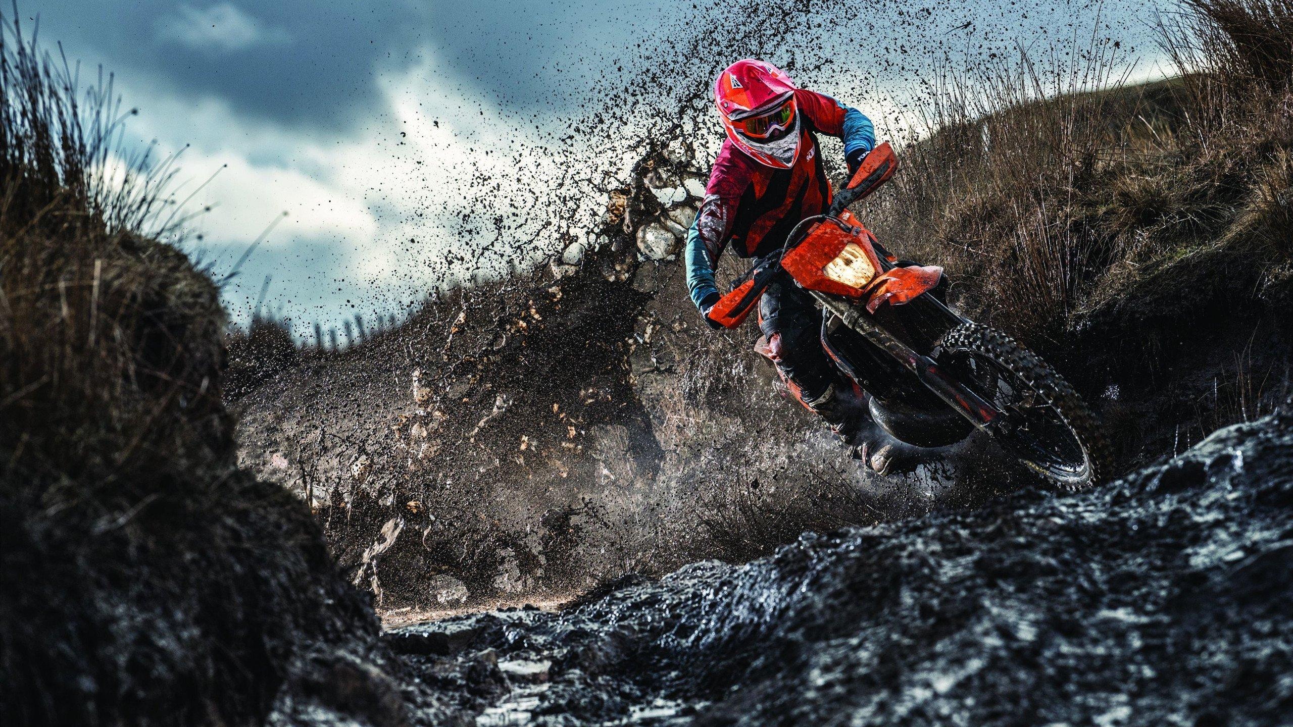 康纳·麦格雷戈与罗根·保罗或于2025年在印度上演跨界拳击盛宴